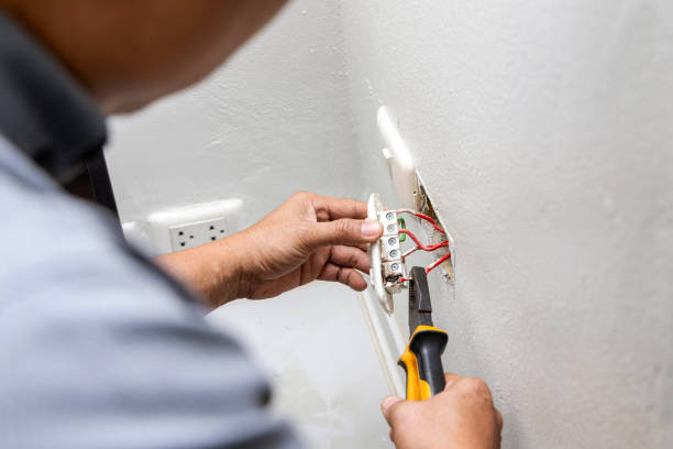 Best Electric Panel Repair  in Gore, OK